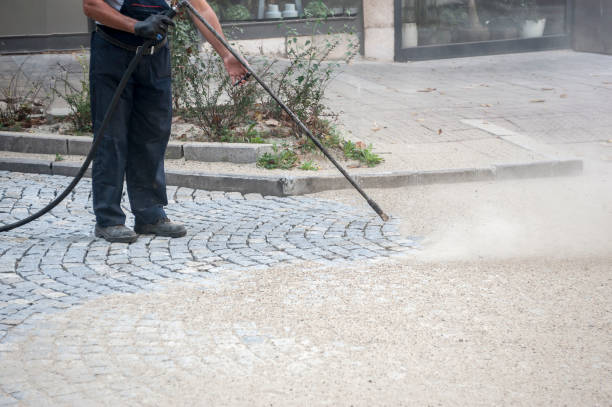 Animal Enclosure Cleaning in Hillside Lake, NY